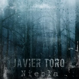 Niebla by Javier Toro