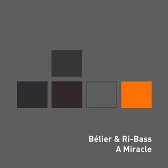 A Miracle by Belier