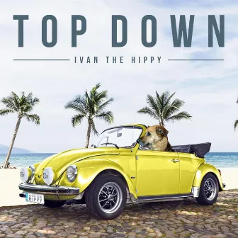 Top Down by Ivan the Hippy