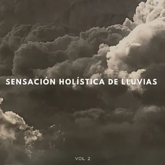 Sensación Holística De Lluvias Vol. 2 by Biblioteca XLE de sonidos de la naturaleza