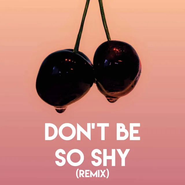 Don't Be So Shy (Remix)