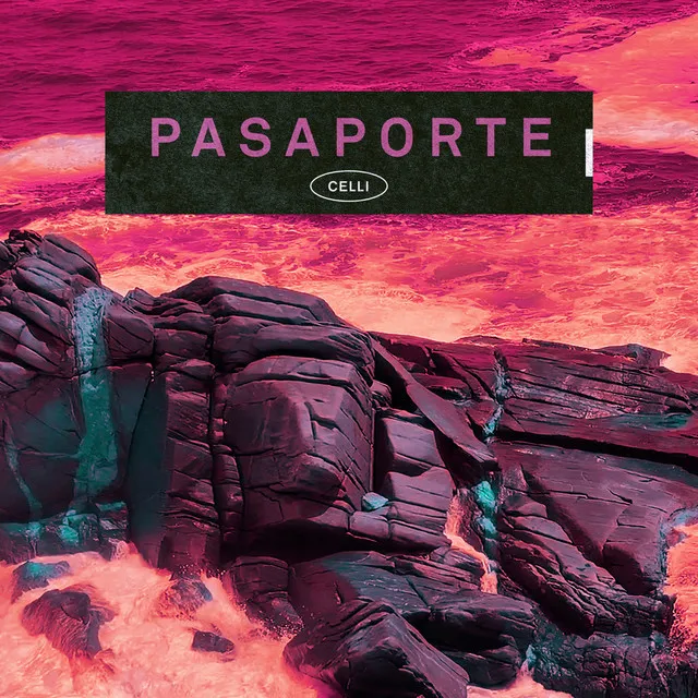 Pasaporte