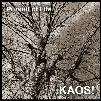 Pursuit of Life by KAOS!