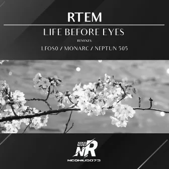 Life Before Eyes by Rtem