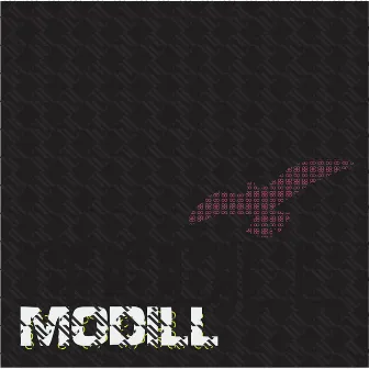 Modill by Modill