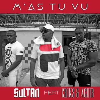 M'as-tu vu by Criks