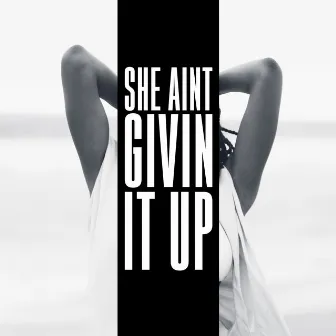 She Ain't Givin It Up by Mr. Perkins