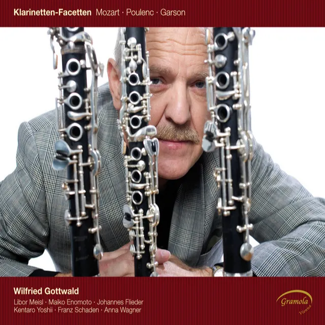 Clarinet Concerto in A Major, K. 622 (arr. M. Salamon for clarinet and string quintet): I. Allegro