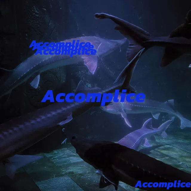 共犯（Accomplice）