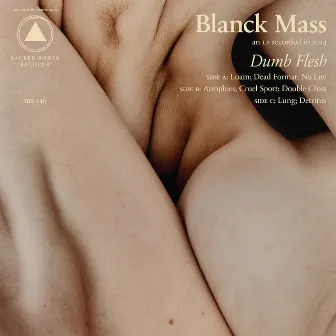 Dumb Flesh by Blanck Mass