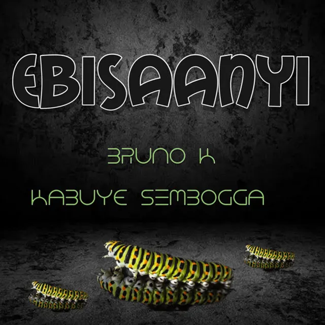 Ebisaanyi