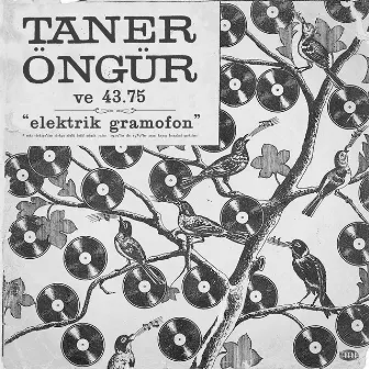 Elektrik Gramofon by Taner Öngür