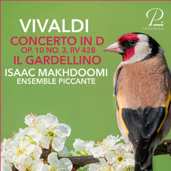 Vivaldi: Concerto in D Major, RV 428. 