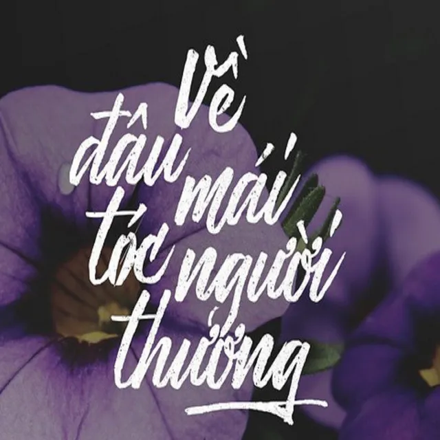 Về Đâu Mái Tóc Người Thương