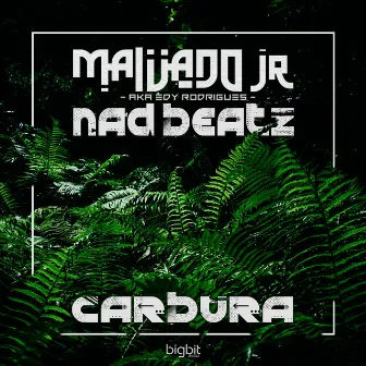 Carbura by Nad Beatz