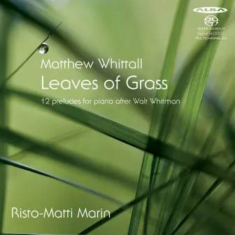 Whittall: Leaves of Grass by Matthew Whittall