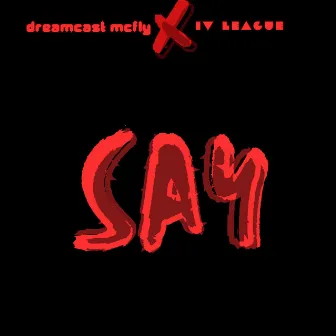 Say by Dreamcast McFly