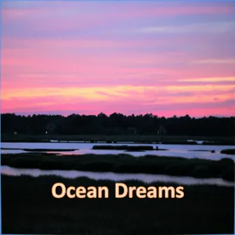 Ocean Dreams (Waves on the Beach for Relaxing Background) by Unknown Artist