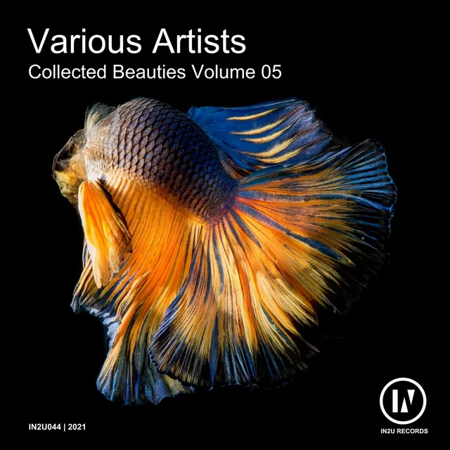 Collected Beauties, Vol. 5 (DJ Mix)