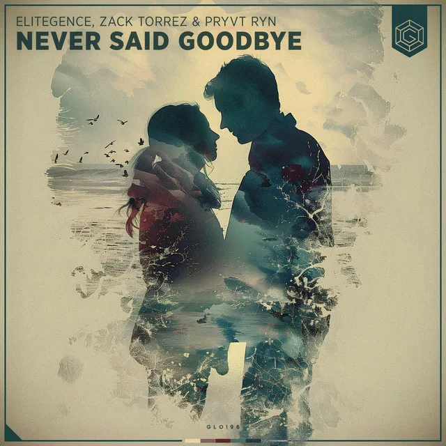 Never Said Goodbye - Radio Edit