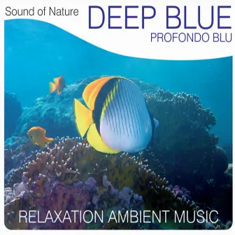 Deep Blue (Profondo blu) by Sound of Nature Band