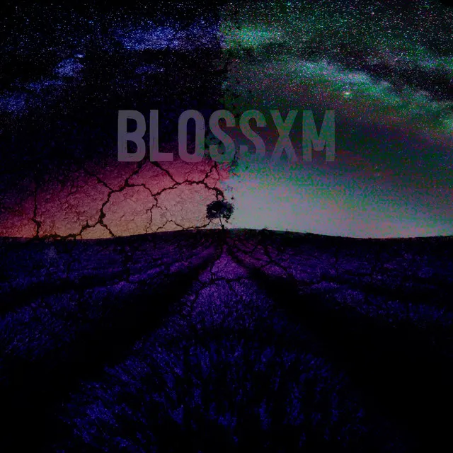 Blossxm