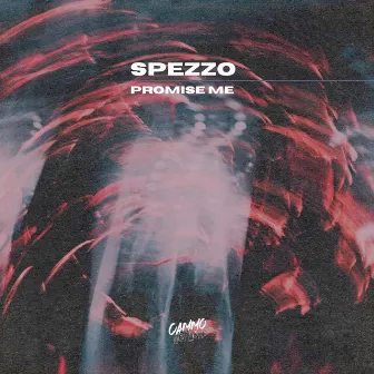 Promise Me by Spezzo