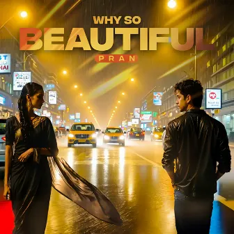 Why So Beautiful by Unknown Artist