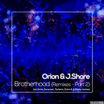 Brotherhood (Remixes, Pt. 2) by J.Shore