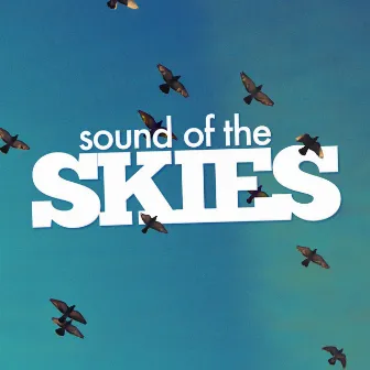 Sound of the Skies by Bird Sounds