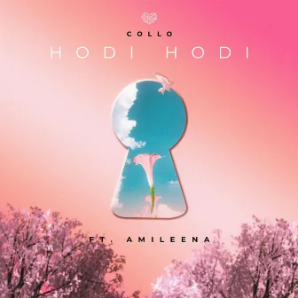 Hodi Hodi by Collo