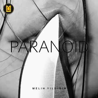 Paranoid by Melih Yıldırım