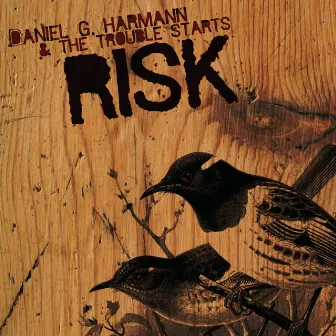 Risk by Daniel G. Harmann