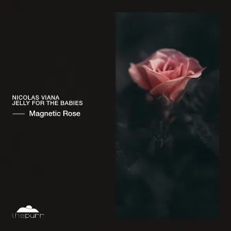 Magnetic Rose by Yopa