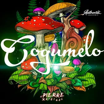 Cogumelo by DJ Pierre Original