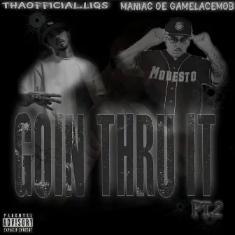 Goin Thru It Pt. 2 by Liqs