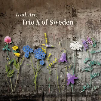 Trad. Arr by Trio X of Sweden