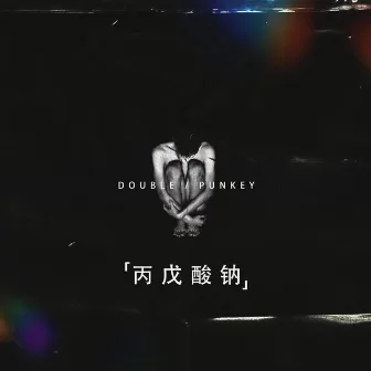 丙戊酸钠 by DOUBLE