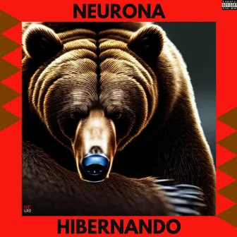 HIBERNANDO by Neurona