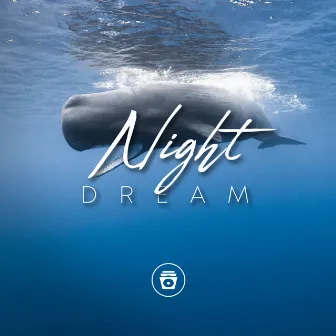 Night Dream by Whale Song