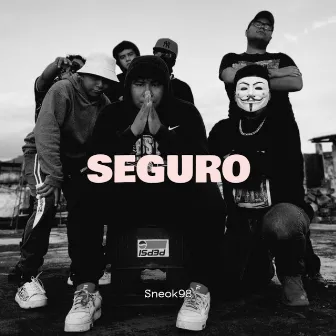 Seguro by Sneok98