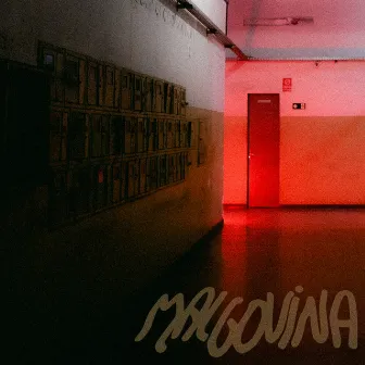 Malgovina by Tipo Um