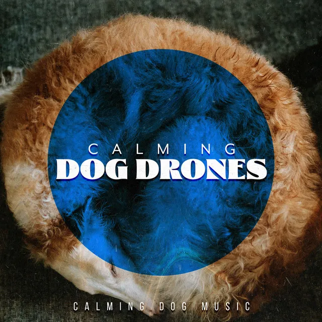 Calming Dog Drones