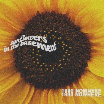 Sunflowers in the Basement by 1990nowhere