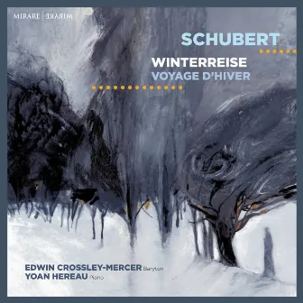 Schubert: Winterreise by Edwin Crossley-Mercer