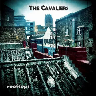 Rooftops by The Cavaliers