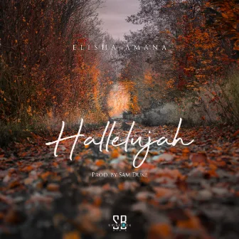 Hallelujah by Elisha Amana