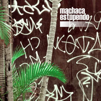 Machaca by Estupendo