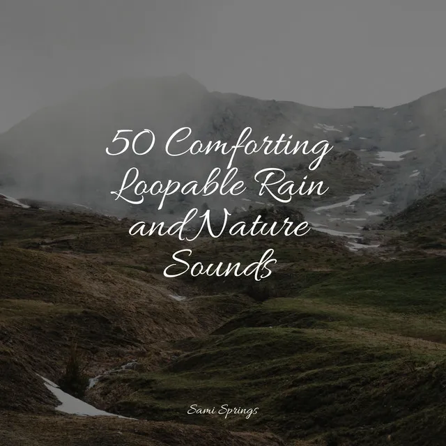 50 Comforting Loopable Rain and Nature Sounds