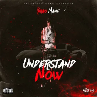 Understand Now by Rikko Mane